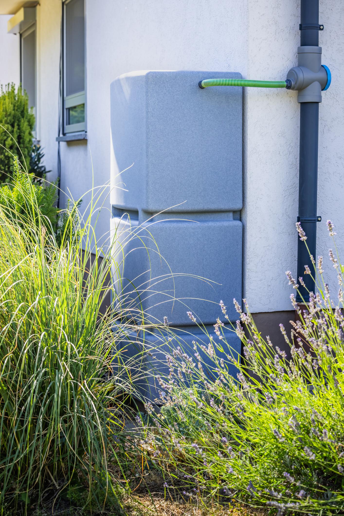 Rain Barrels for Everyday Water Collection
